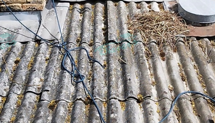 bezazbesta šīfera jumti