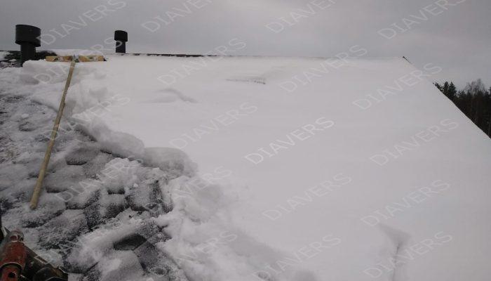 sniega tirisana 6 diavers